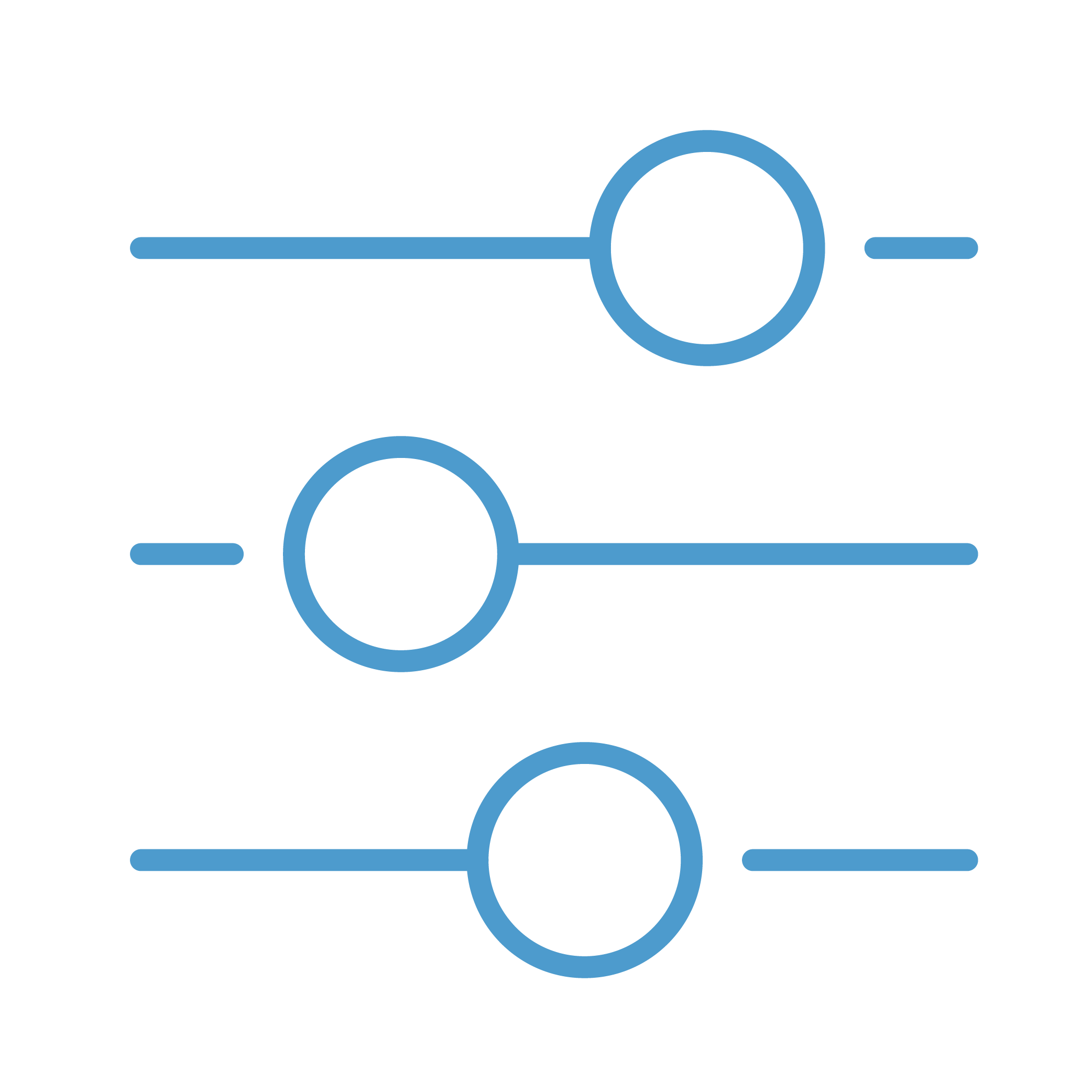 Risk Adjustment Icon